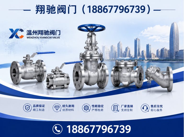 永嘉县止回阀展示图